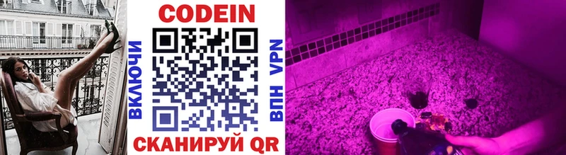 купить закладку  Александровск-Сахалинский  Кодеиновый сироп Lean напиток Lean (лин) 