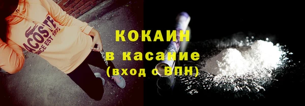 твердый Абаза