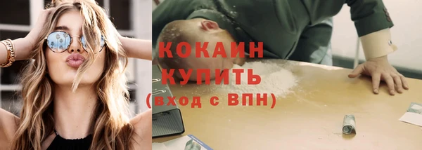 твердый Абаза