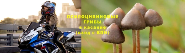 твердый Абаза